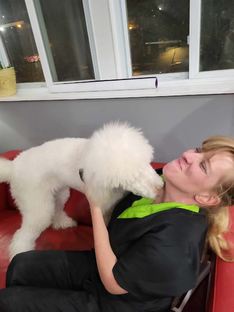 Groomer holding a freshly groomed fluffy white dog
